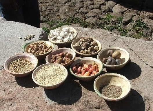 Variedades de papas